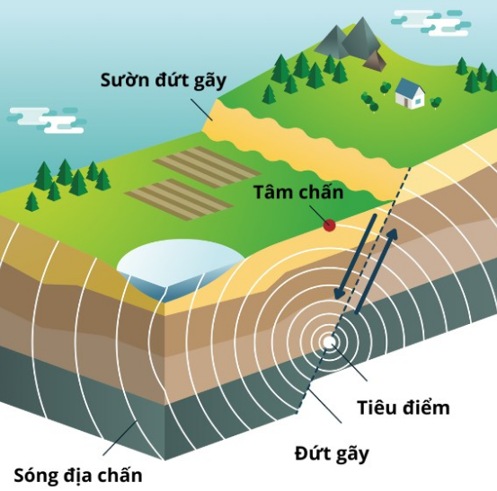 Hình minh họa câu hỏi